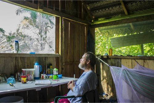 Ir a Ayahuasca entre dos mundos Ayahuasca entre dos mundos