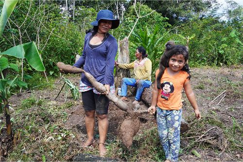 Ayahuasca entre dos mundos
