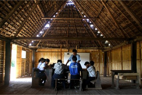 Amazonia entre dos mundos